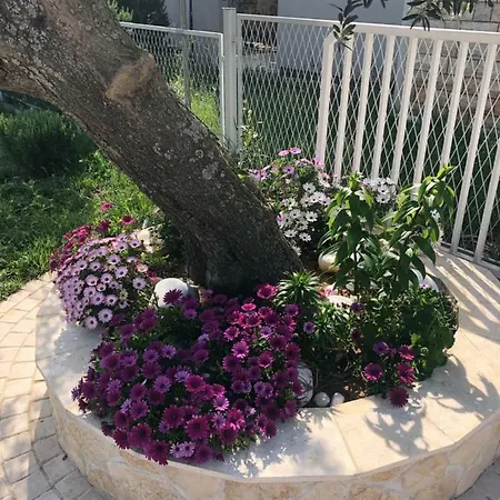 Maslenica Residence, Near Zadar Apartament *